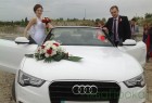 ауді кабріолет білого кольору audi