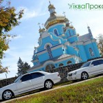 3-білий-мерседес-іквапрокат