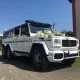 Лимузин Mercedes G-Class черный и белый